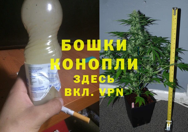 кокаин колумбия Белокуриха