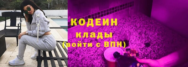 дживик Богородск