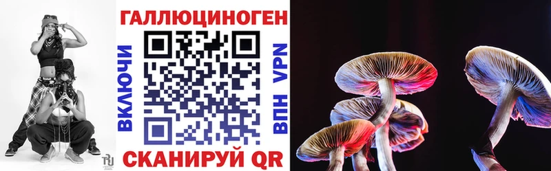 Псилоцибиновые грибы Psilocybine cubensis  Купино 